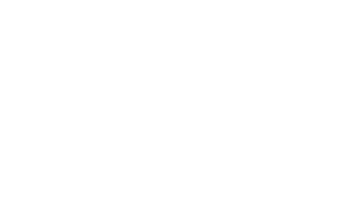 Logo Robson Felipe